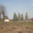 В городском саду начаты работы по благоустройству - Газета Сельская правда