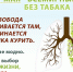 "Неделя отказа от табака" - Газета Сельская правда